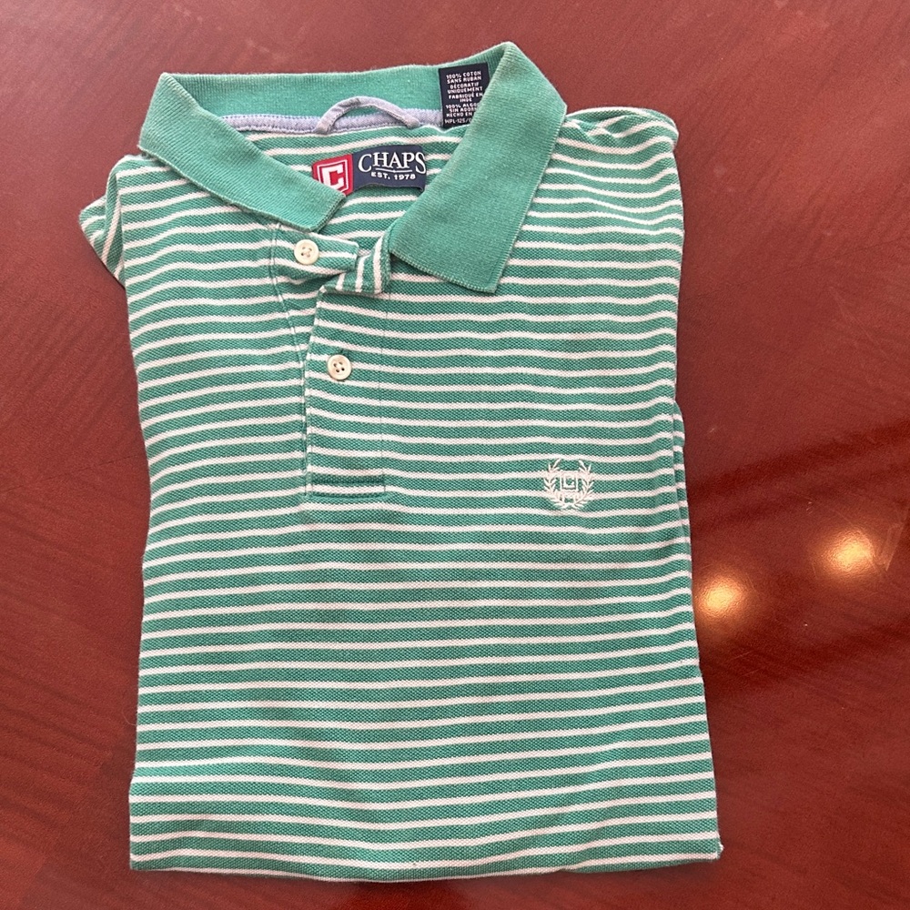 Chaps Polo Shirt in Green and White Stripes